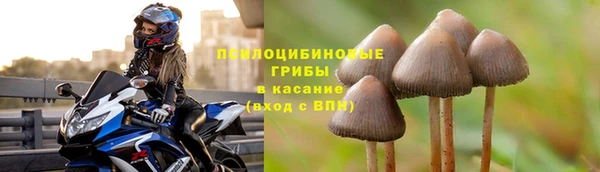спиды Балабаново