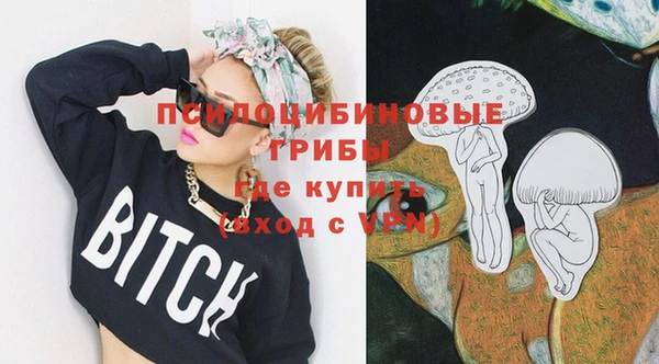 эйфоретик Баксан