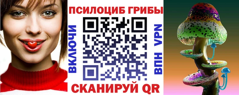 Псилоцибиновые грибы GOLDEN TEACHER  Кашин 