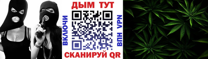 Канабис Bruce Banner  цены наркотик  Кашин 